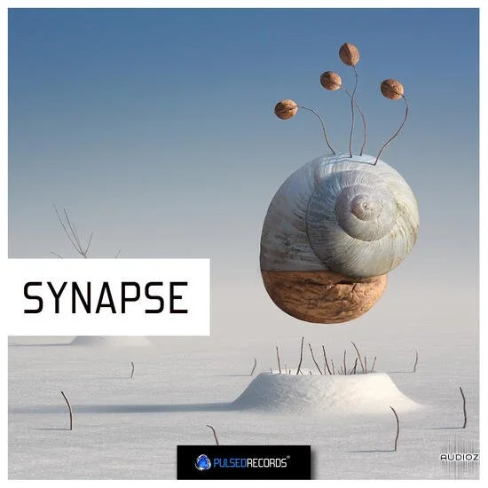 Pulsed Records Synapse WAV-DECiBEL