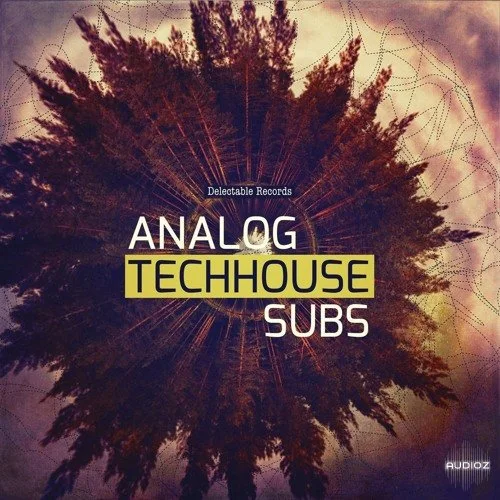 Delectable Records Analog Tech House Subs WAV-FANTASTiC