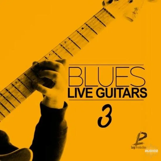 Luigi Production Blues Live Guitars 3 WAV-DECiBEL
