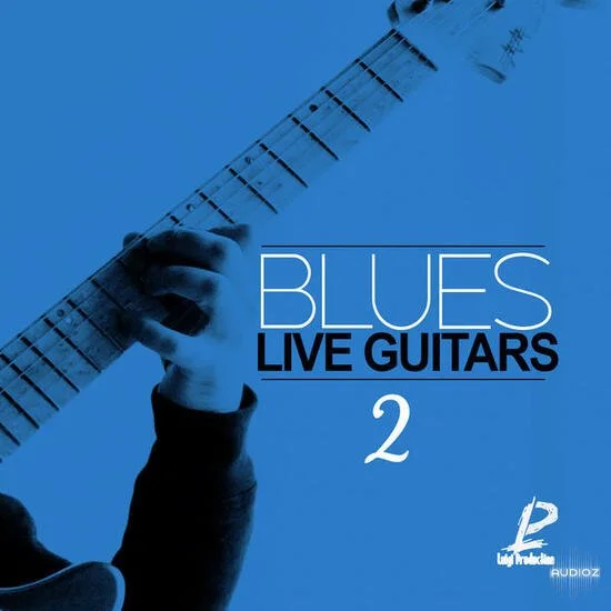 Luigi Production Blues Live Guitars 2 WAV-DECiBEL