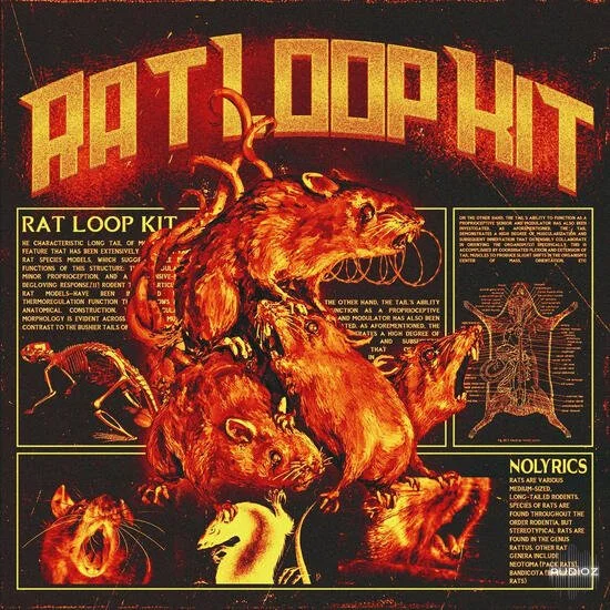 nolyrics RAT (Loop Kit and FLP) MULTiFORMAT-DECiBEL