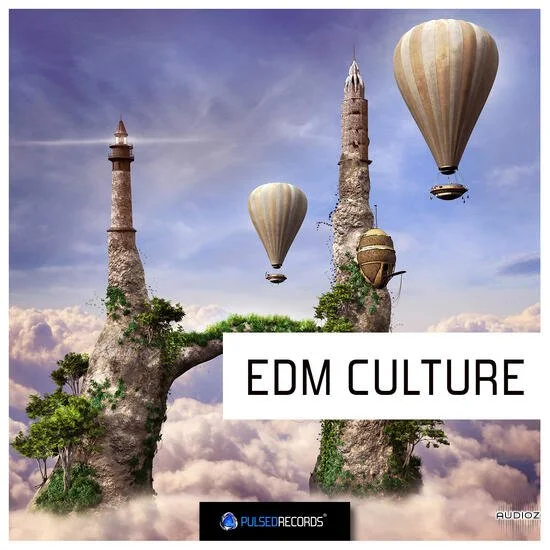 Pulsed Records EDM Culture WAV MIDI-DECiBEL