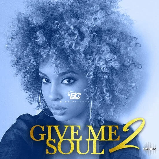 Big Citi Loops Give Me Soul 2 WAV-DECiBEL
