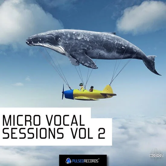 Pulsed Records Micro Vocal Sessions Vol 2 WAV MIDI-DECiBEL