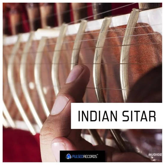 Pulsed Records World Series Indian Sitar WAV MIDI-DECiBEL