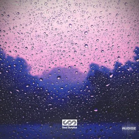 Soul Surplus Rainy Season WAV-FLARE