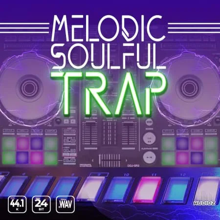 Epic Stock Media Melodic Soulful Trap WAV-FLARE