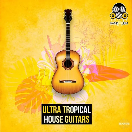 Vandalism Ultra Tropical House Guitars MULTiFORMAT-DECiBEL