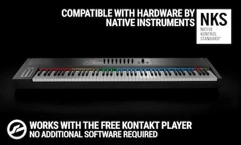 Keepforest Risenge Pro / Core WAV KONTAKT (Player Edition)