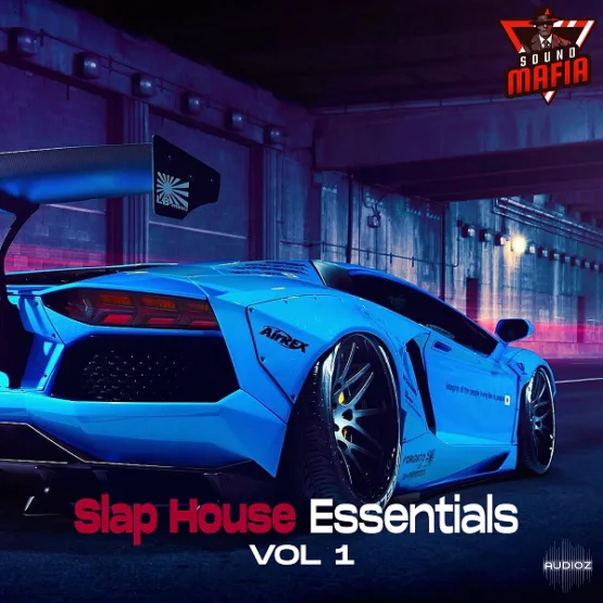 Sound Mafia Slap House Essentials Vol.1 WAV MiDi FLP SERUM SPiRE AVENGER Presets