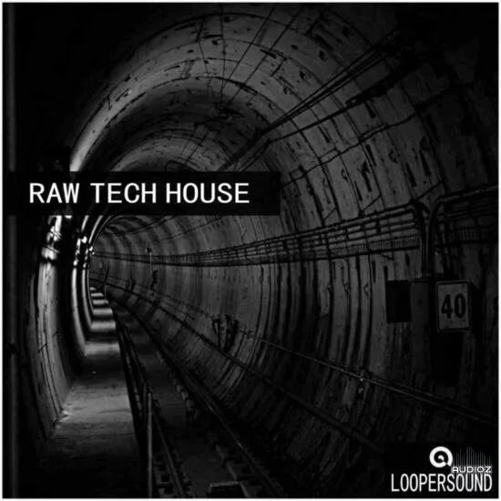Loopersound Raw Tech House WAV-DECiBEL