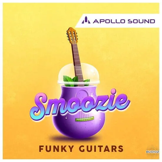 Apollo Sound Smoozie Funky Guitars WAV KONTAKT REX-DECiBEL