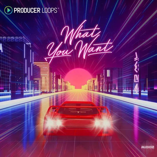 Producer Loops What You Want MULTiFORMAT-DECiBEL