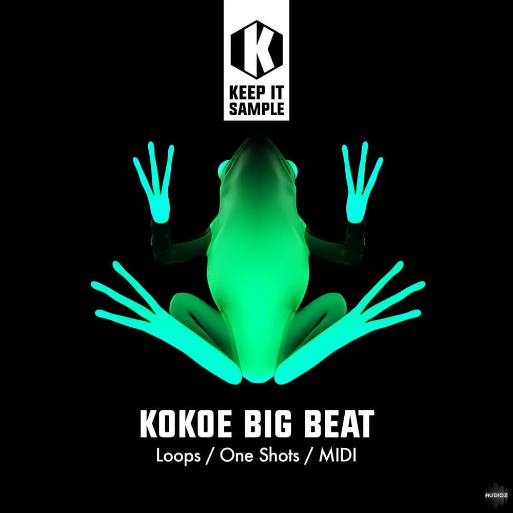 Keep It Sample Kokoe Big Beat WAV MiDi