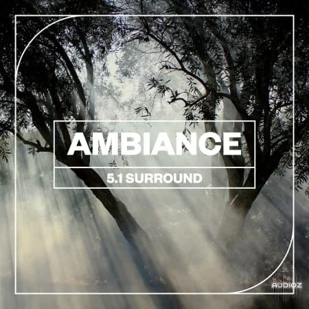 Blastwave FX Ambiance 5.1 Surround WAV