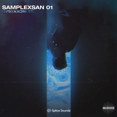 Splice Sounds Samplexsan by Rickyxsan WAV