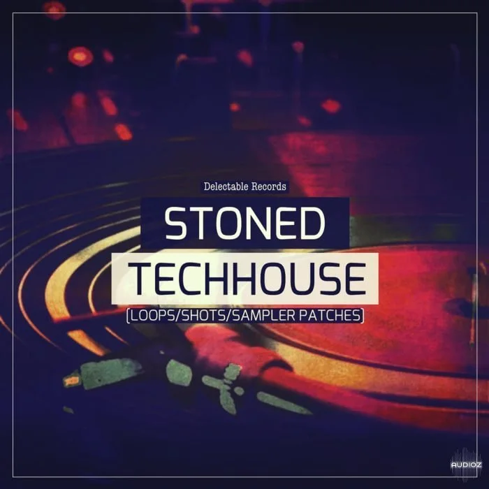 Delectable Records Stoned Tech House MULTiFORMAT