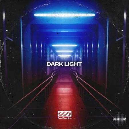 Soul Surplus Dark Light Soulful Synthwave WAV-FLARE