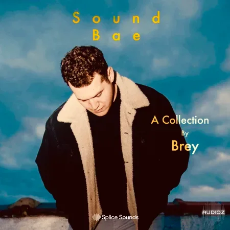 Splice Sound Bae A Collection by Brey WAV