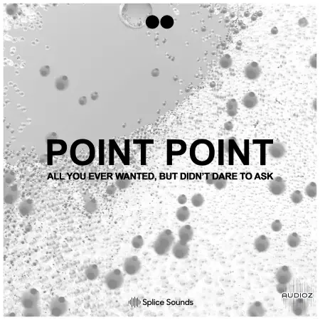 Splice POINT POINT All You Ever Wanted, But Didn't Dare To Ask WAV