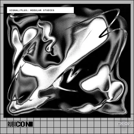 Rubicon Signal Flux Modular Studies MULTiFORMAT-FLARE