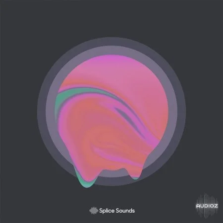 Splice Gill Chang Words Unspoken Sample Pack MULTiFORMAT-FLARE