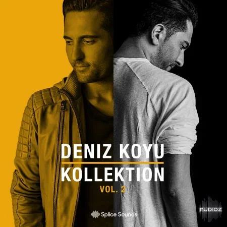 Splice DENIZ KOYU Kollektion Vol. 2 WAV-FLARE