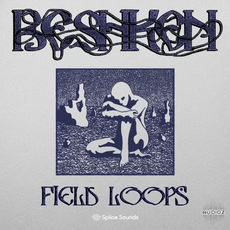 Splice Beshken Field Loops WAV