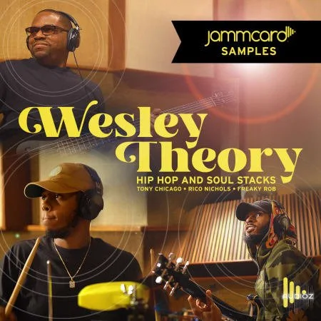 Jammcard Samples Wesley Theory Hip-Hop And Soul Stacks WAV-FLARE