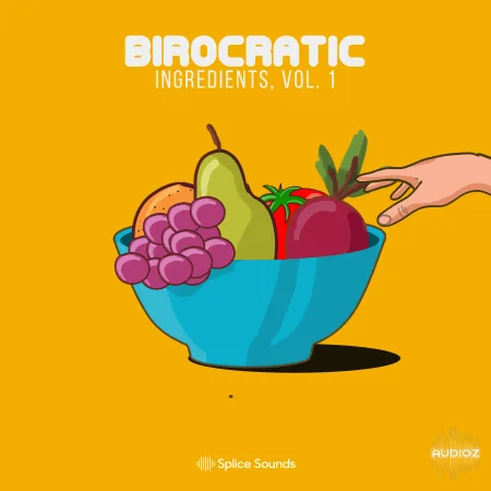 Splice Birocratic's Ingredients Sample Pack WAV