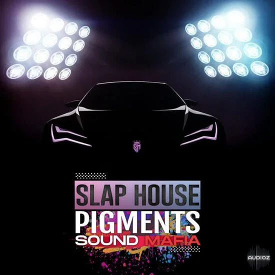 Sound Mafia Slap House Pigments MULTiFORMAT-DECiBEL