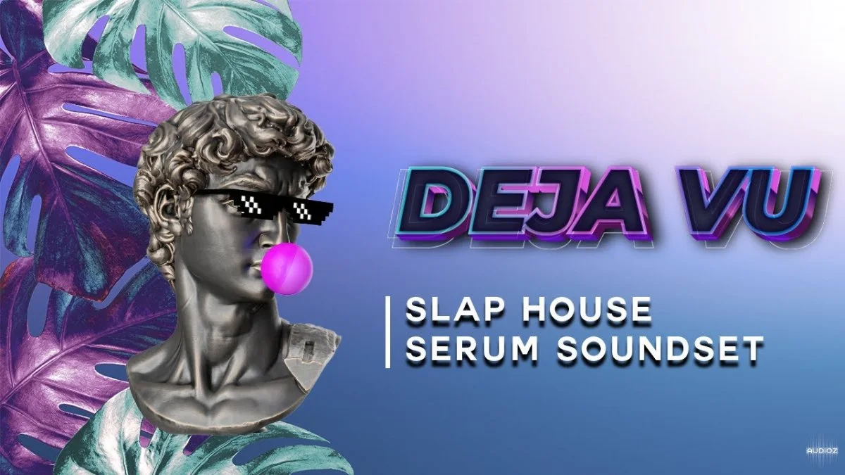 Evolution of Sounds Deja Vu WAV MiDi XFER RECORDS SERUM-FANTASTiC