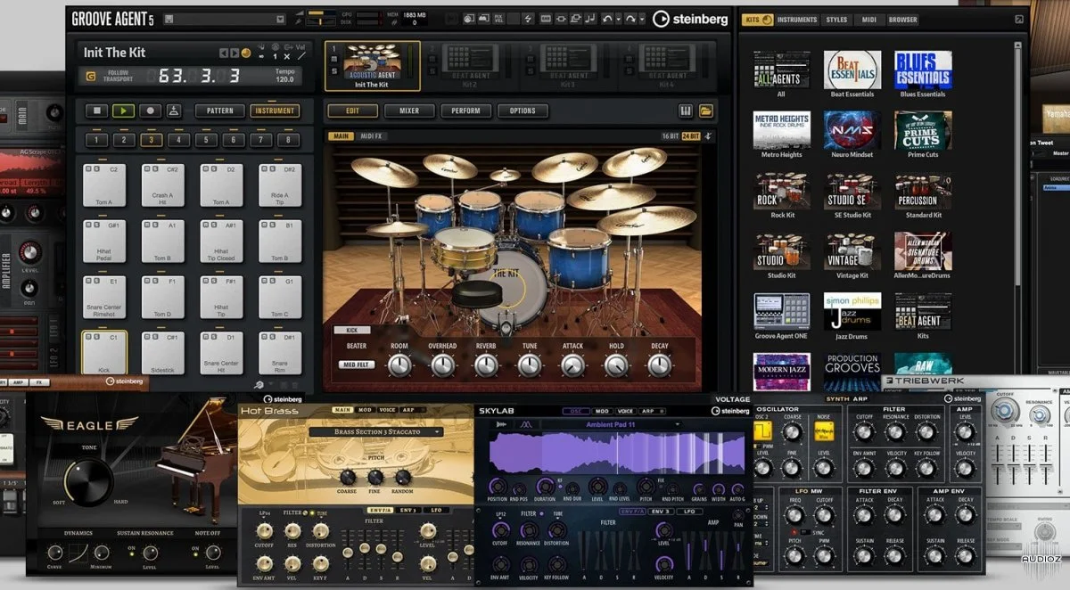 Steinberg Absolute 4 VST Instrument Collection 2021.5 Win macOS + Steinberg fake Soft-eLicenser bundle b23 - V.R