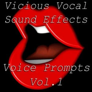 Vicious Vocal Sound Effects 10 (Voice Prompts Vol.1) WAV