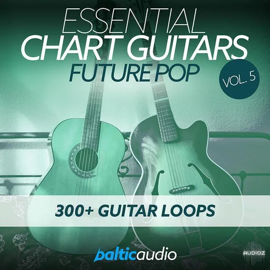 Baltic Audio Essential Chart Guitars Vol 5 WAV-DECiBEL