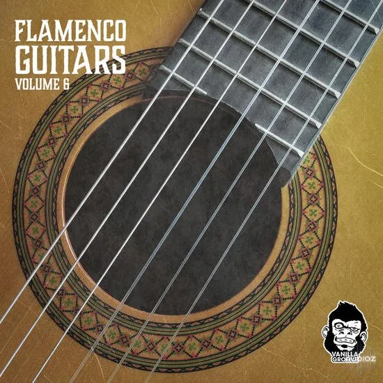Vanilla Groove Studios Flamenco Guitars Vol 6 WAV-DECiBEL