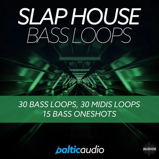 Baltic Audio Slap House Bass Loops WAV MIDI-DECiBEL