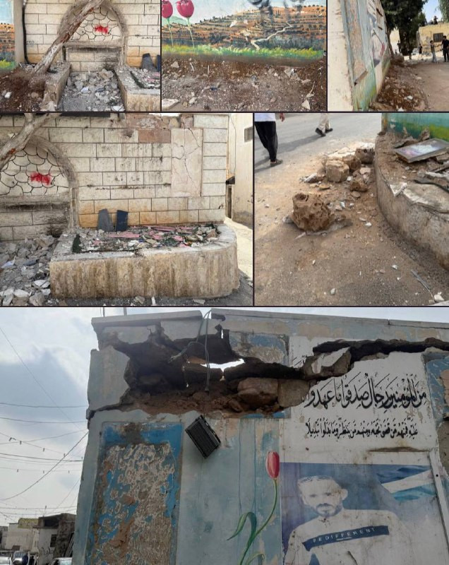 صورة الخبر
