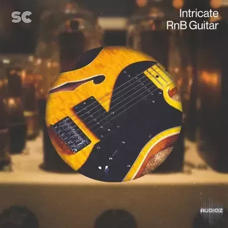 Sonic Collective Intricate R&B Guitar WAV