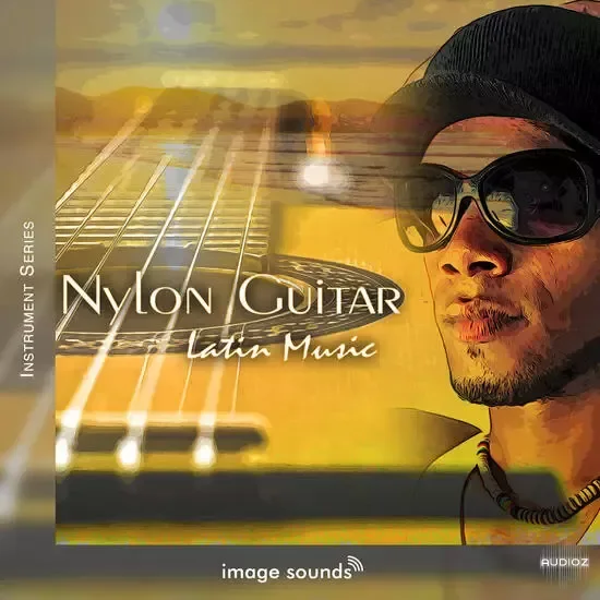 Image Sounds Nylon Guitar 2 Singer Songwriter WAV-DECiBEL
