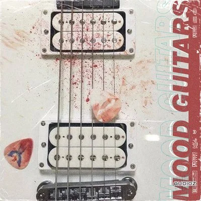 Cartel Loops Mood Guitars WAV-FLARE