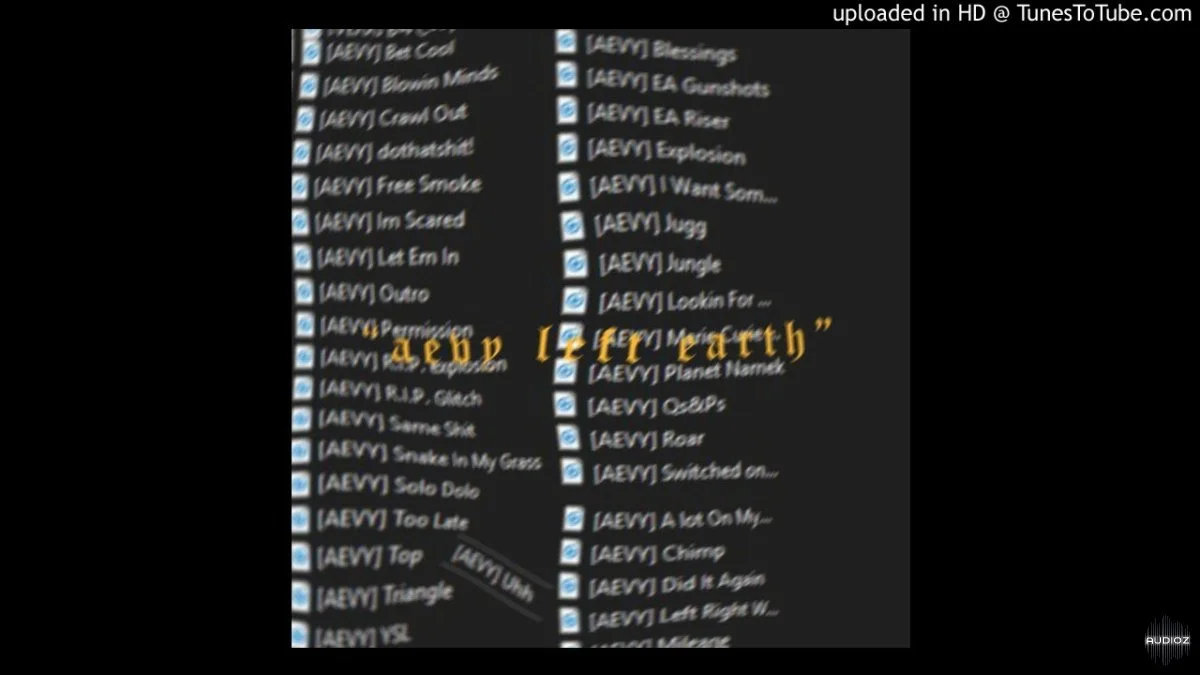 aevy left earth kit WAV