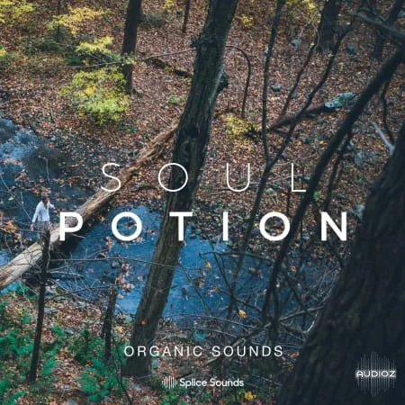 Splice Soul Potion Organic Sounds WAV-FLARE