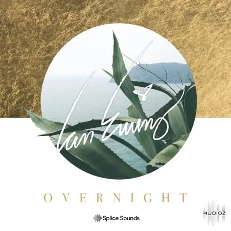 Splice Ian Ewing Overnight Sample Pack MULTiFORMAT-FLARE