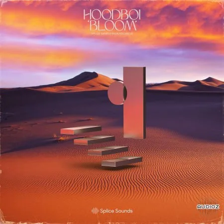 Splice Hoodboi Bloom Volume 1 MULTiFORMAT-FLARE
