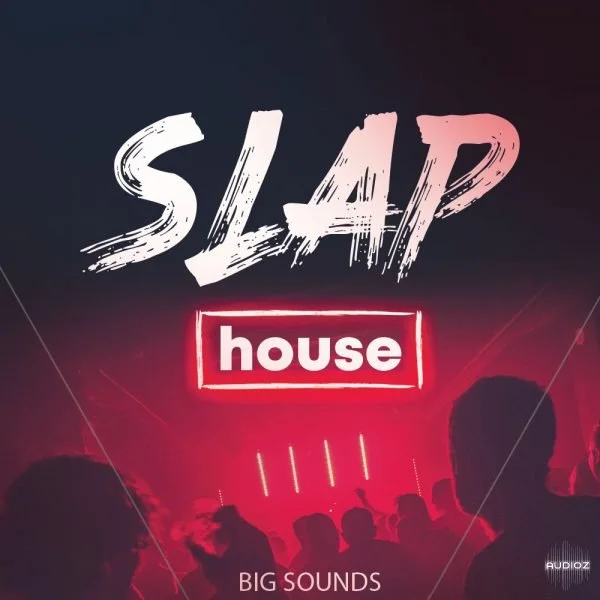 Big Sounds Slap House MULTiFORMAT-FLARE