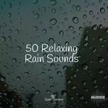 Pro Sound Effects Library 50 Soothing Winter Rain Sounds FLAC