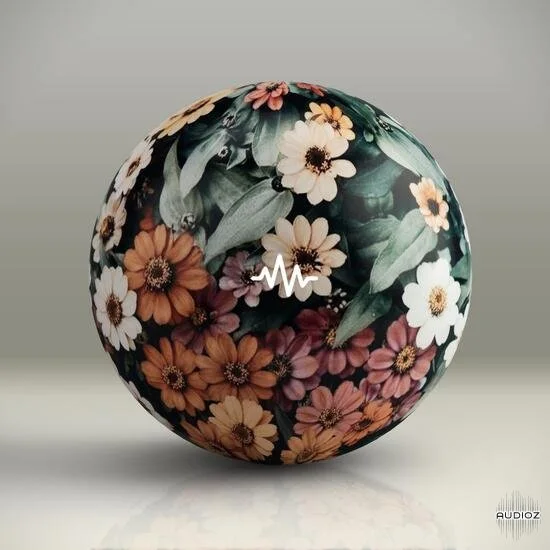 WavSupply Noah Mejia Flowers Vol 3 One Shot Kit MULTiFORMAT-DECiBEL