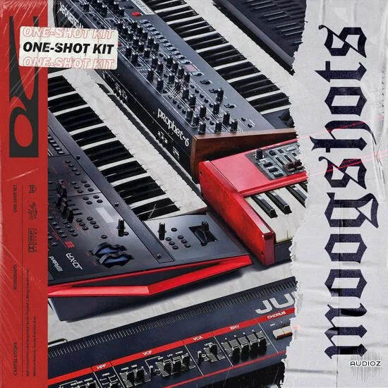 Cartel Loops Moog Shots WAV-DECiBEL