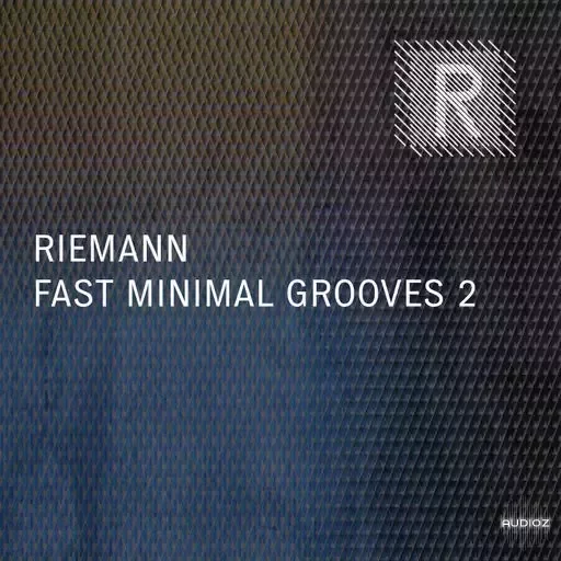 Riemann Kollektion Riemann Fast Minimal Grooves 2 WAV-FANTASTiC